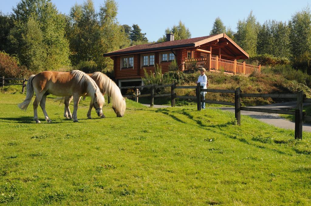 Hotelanlage Country Lodge Arnsberg Exterior foto